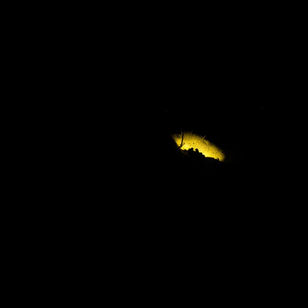 Dark, low-key photograph of a data dashboard with deep shadow and faint highlights.